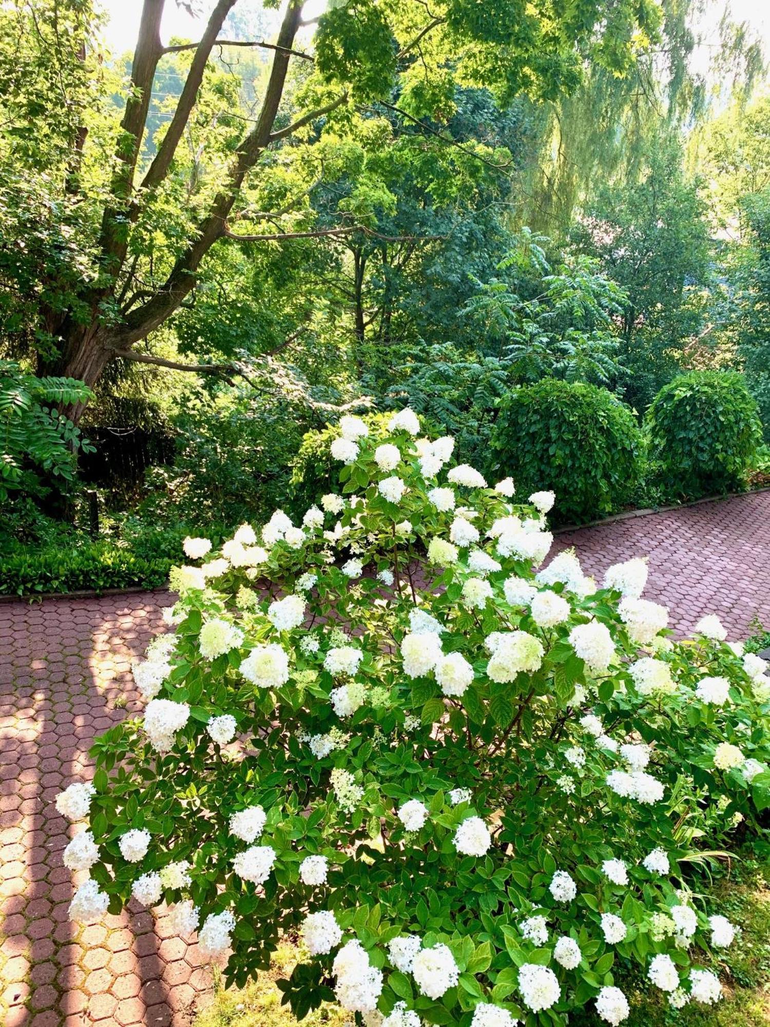 Plantation House Bed & Breakfast พอร์ทโฮป ภายนอก รูปภาพ
