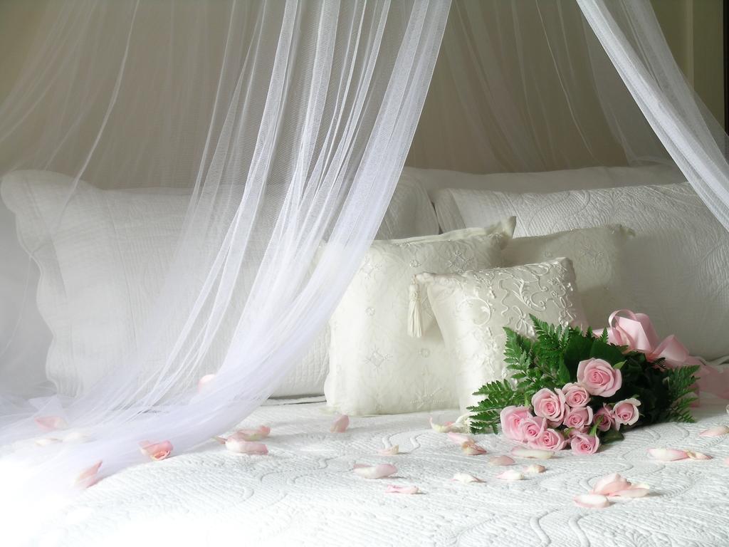 Plantation House Bed & Breakfast พอร์ทโฮป ห้อง รูปภาพ
