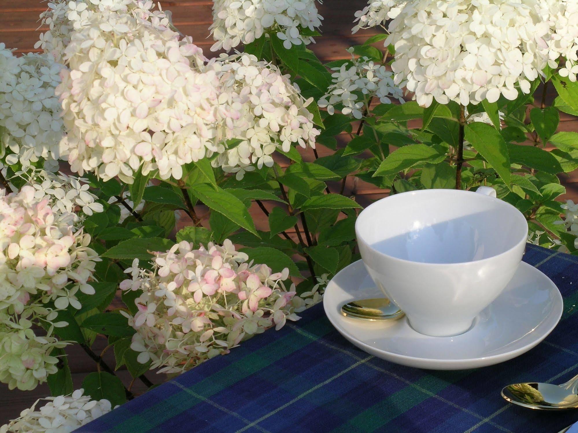 Plantation House Bed & Breakfast พอร์ทโฮป ภายนอก รูปภาพ